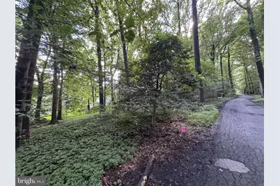 Sterling Montague Drive, Great Falls, VA 22066 - Photo 3