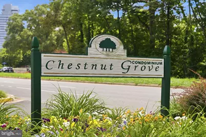 11260 Chestnut Grove Square #337, Reston, VA 20190 - Photo 67