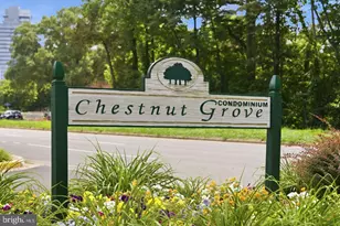 11260 Chestnut Grove Square, Reston, VA 20190 - Photo 67