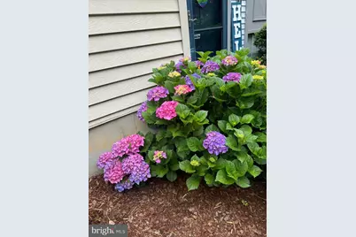 6502 Coachleigh Way, Alexandria, VA 22315 - Photo 41
