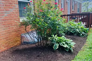 3508 Woodside Rd, Alexandria, VA 22310 - Photo 5