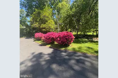 3502 Holly Road, Annandale, VA 22003 - Photo 55