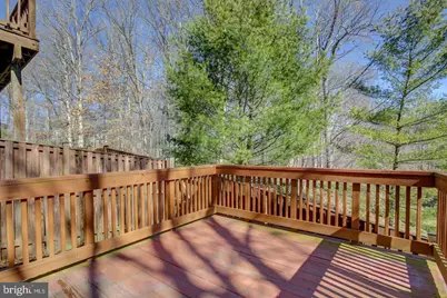 8200 Maple Ridge Avenue, Springfield, VA 22153 - Photo 31