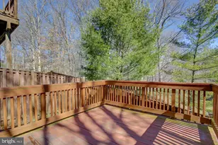 8200 Maple Ridge Ave, Springfield, VA 22153 - Photo 31