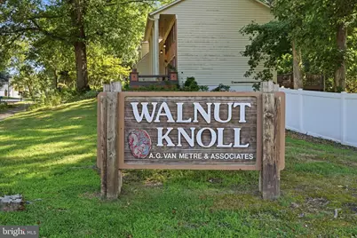 7316 Walnut Knoll Drive, Springfield, VA 22153 - Photo 61