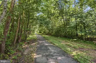 7316 Walnut Knoll Dr, Springfield, VA 22153 - Photo 59