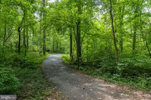 14814 Haymarket Ln, Centreville, VA 20120 - Photo 41