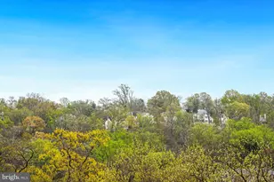 5904 Mt Eagle Dr, Alexandria, VA 22303 - Photo 9
