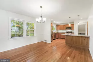 8524 Doter Dr, Alexandria, VA 22308 - Photo 17