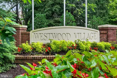 8850 Ashgrove House Lane #101, Vienna, VA 22182 - Photo 41