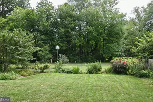 6905 Lemon Rd, McLean, VA 22101 - Photo 5