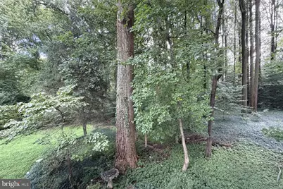 9717 Limoges Drive, Fairfax, VA 22032 - Photo 3