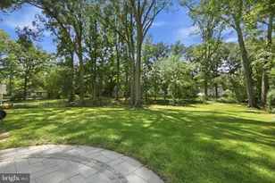 7712 Frances Dr, Alexandria, VA 22306 - Photo 5