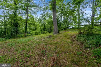 6612 Cottonwood Drive, Alexandria, VA 22310 - Photo 9
