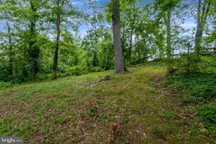 6612 Cottonwood Dr, Alexandria, VA 22310 - Photo 9