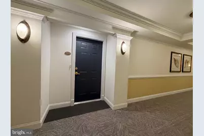 2905 Saintsbury Plz #317, Fairfax, VA 22031 - Photo 29