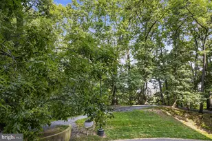 5901 Mt Eagle Dr, Alexandria, VA 22303 - Photo 29