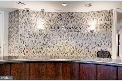 12000 Market Street #253, Reston, VA 20190 - Photo 41