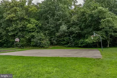 7428 Golden Horseshoe Court, Springfield, VA 22153 - Photo 61