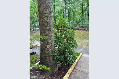 2326 Antiqua Court, Reston, VA 20191 - Photo 31
