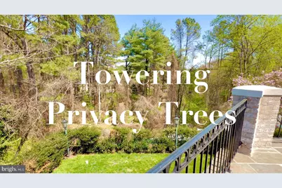 1289 Ballantrae Farm Drive, McLean, VA 22101 - Photo 47