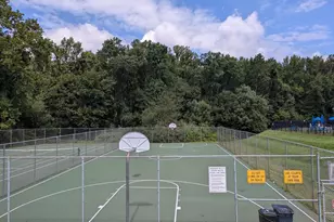 14314 Watery Mountain Ct, Centreville, VA 20120 - Photo 59