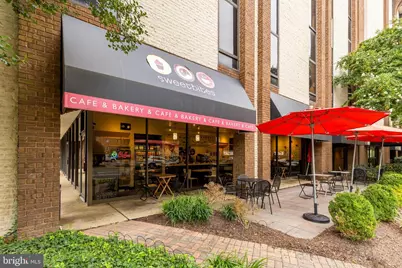 6203 Hardy Drive, McLean, VA 22101 - Photo 45