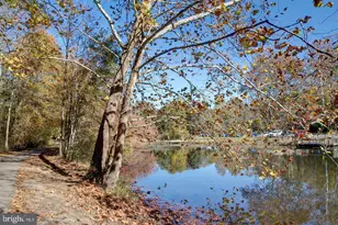 13742 Cabells Mill Dr, Centreville, VA 20120 - Photo 43