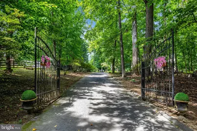 9185 Old Dominion Drive, McLean, VA 22102 - Photo 11