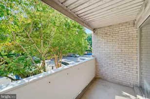 5608 Bloomfield Dr, Alexandria, VA 22312 - Photo 21