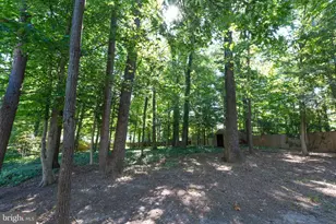 6905 Huntsman Blvd, Springfield, VA 22153 - Photo 39