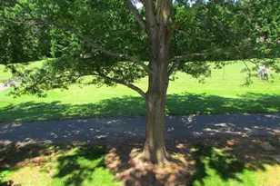 14840 Lynhodge Ct, Centreville, VA 20120 - Photo 33