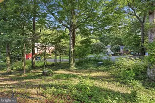 10196 Bessmer Ln, Fairfax, VA 22032 - Photo 45