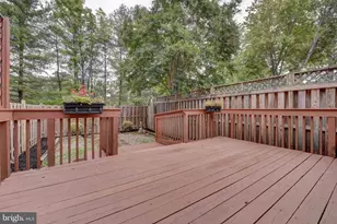 7794 Euclid Way, Springfield, VA 22153 - Photo 19