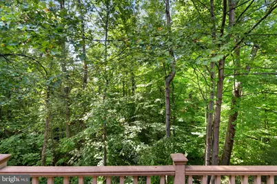 7877 Painted Daisy Drive, Springfield, VA 22152 - Photo 45