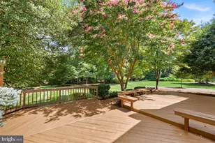 3241 Betsy Ln, Oak Hill, VA 20171 - Photo 51