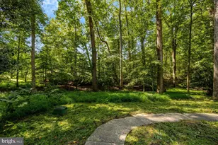 9982 Blackberry Ln, Great Falls, VA 22066 - Photo 53