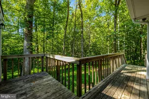 9982 Blackberry Ln, Great Falls, VA 22066 - Photo 49