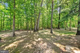 1629 Bentana Way, Reston, VA 20190 - Photo 51