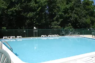 7522 Snowpea Ct, Alexandria, VA 22306 - Photo 31