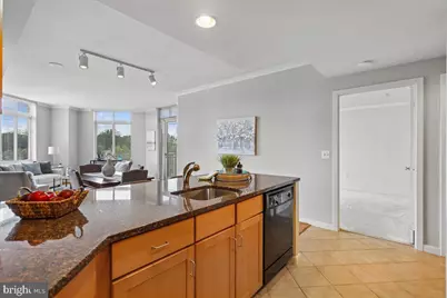 4490 Market Commons Drive #505, Fairfax, VA 22033 - Photo 7