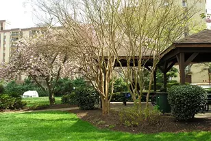 6001 Arlington Blvd, Falls Church, VA 22044 - Photo 29