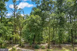 5904 Mt Eagle Dr, Alexandria, VA 22303 - Photo 7