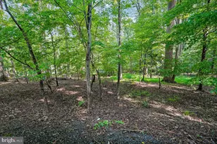 3415 Miller Heights Rd, Oakton, VA 22124 - Photo 81