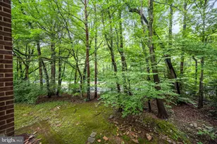 1423 Northgate Square, Reston, VA 20190 - Photo 21