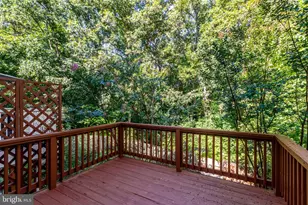 7416 Spring Tree Dr, Springfield, VA 22153 - Photo 53