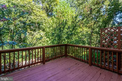 7416 Spring Tree Drive, Springfield, VA 22153 - Photo 55