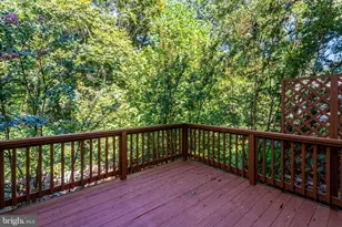 7416 Spring Tree Dr, Springfield, VA 22153 - Photo 55