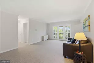 3334 Spring Ln, Falls Church, VA 22041 - Photo 11