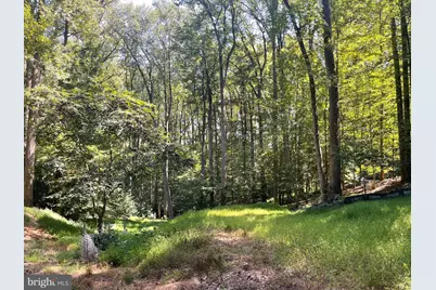 9203 Potomac Ridge Road, Great Falls, VA 22066 - Photo 1
